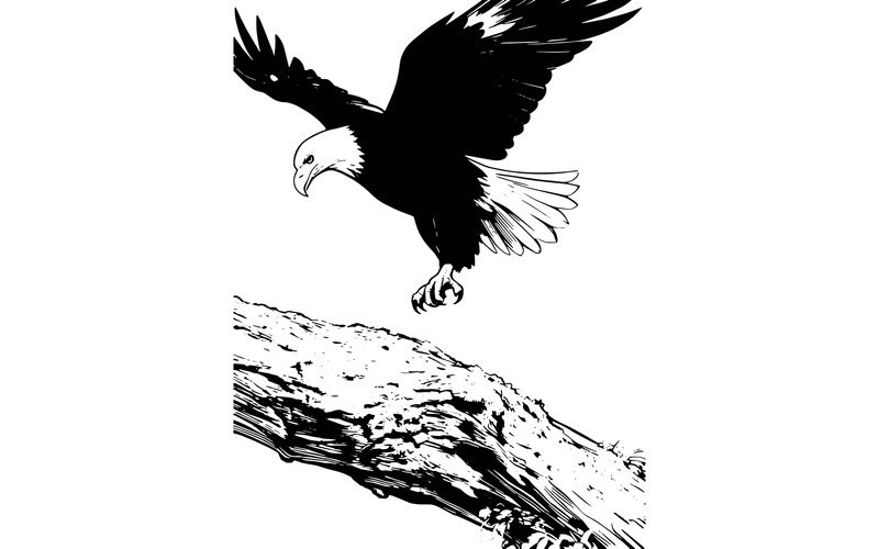 Függőleges kép repülő kopasz sas körülvéve (AI illusztráció kép + vektor vonalas rajz) - Features Image 2