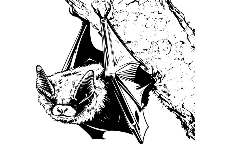 Pipistrello in primo piano (immagine illustrativa AI + disegno vettoriale) - Caratteristiche Immagine 2