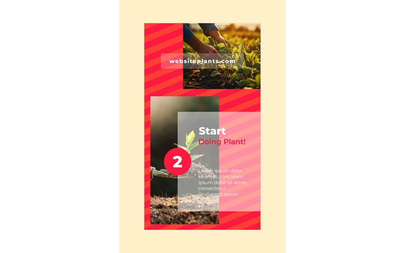 Instagram Stories Start Doing Plant - Features Image 1