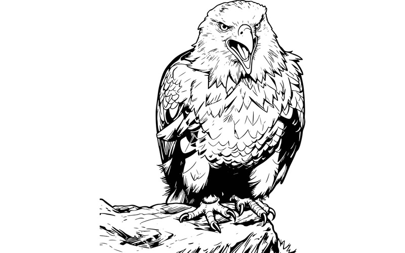 Portrét orla bělohlavého v trávě (ilustrační obrázek AI + vektorová čárová grafika) - Features Image 2