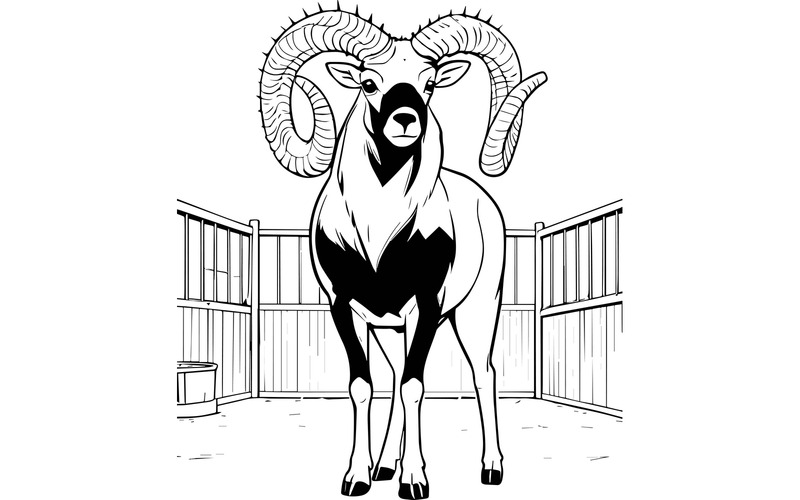 Illustrazione a fumetti della pecora Argali - Caratteristiche Immagine 2
