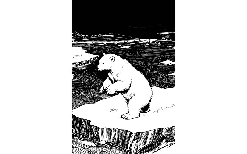 Isbjörn Ursus Maritimus, unge, packis, norra Norge (AI-illustrationsbild + vektorgrafik) - Features Image 2
