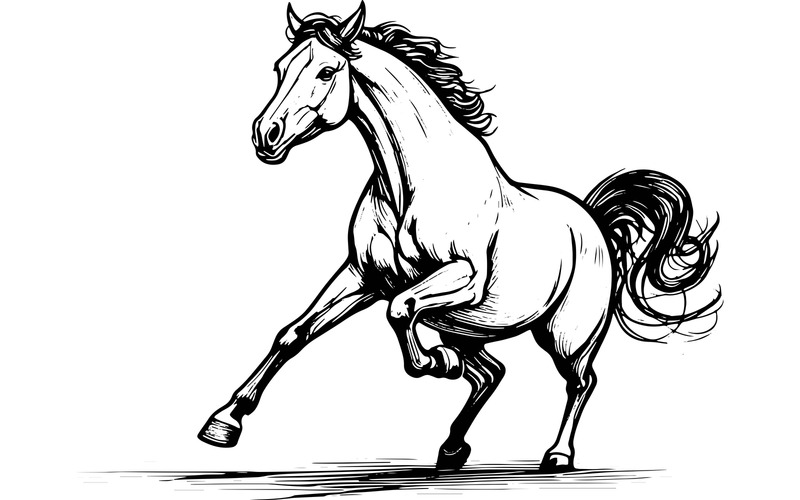 Horse Running Land 1 Illustration - Features Image 2