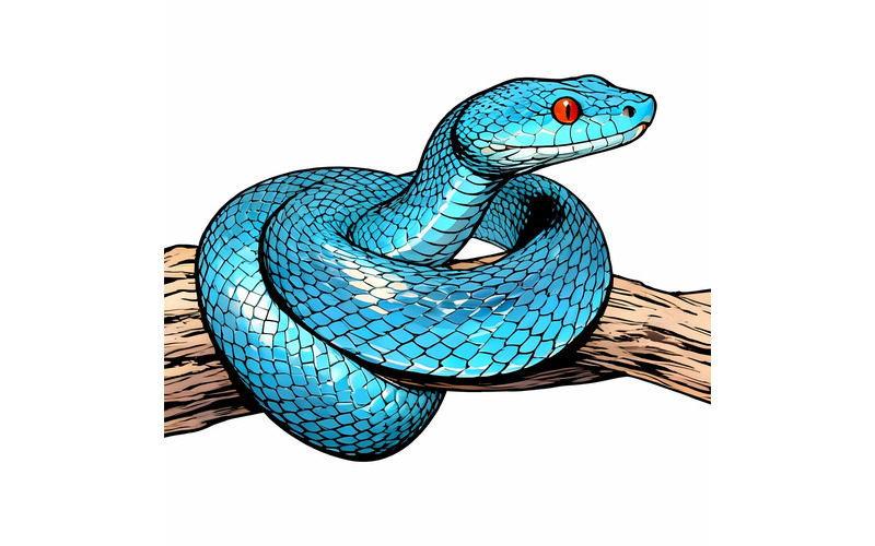 Primo piano del serpente vipera blu, faccia, testa, serpente vipera blu Insularis 1 Illustrazione - Caratteristiche Immagine 1