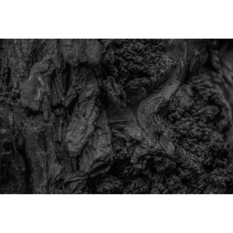 Hartholz Baum Textur Nahaufnahme Hintergründe - Eigenschaften Bild 1