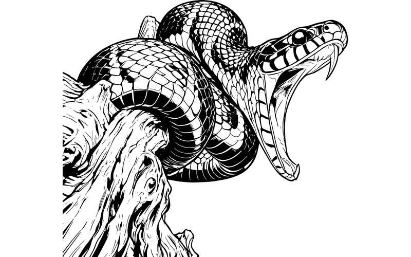 Boiga-Schlange (Dendrophila), Gelbringschlange, auf Beutejagd (Kopf) – Illustration - Eigenschaften Bild 2