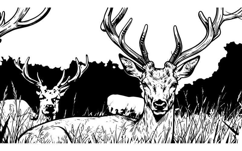 Illustrazione di un alce maschio circondato da altri animali - Caratteristiche Immagine 2