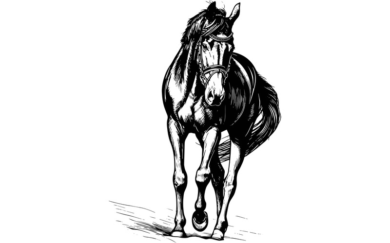 Illustrazione di un cavallo nero che cammina sulla sabbia 1 - Caratteristiche Immagine 2
