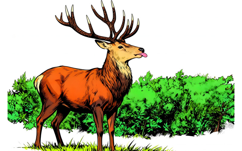 Illustrazione di un cervo in piedi sul campo - Caratteristiche Immagine 1