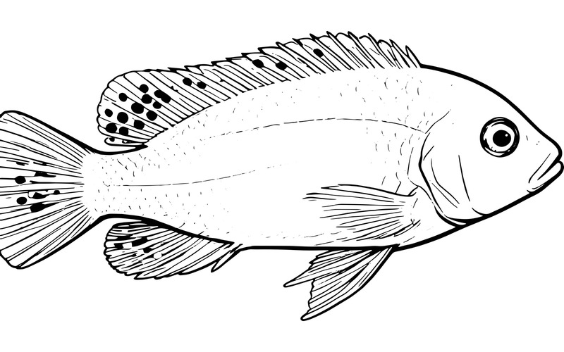Cíclidos amarillos de acuario: fotografía selectiva (imagen AI + arte lineal vectorial) - Características Imagen 2