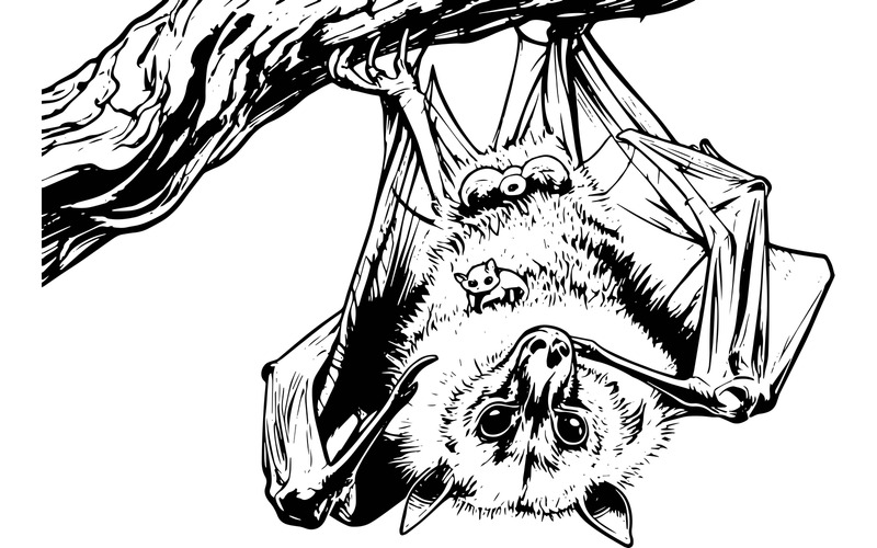Primo piano di un pipistrello appollaiato su un albero (immagine di illustrazione AI + LineArt vettoriale) - Caratteristiche Immagine 2