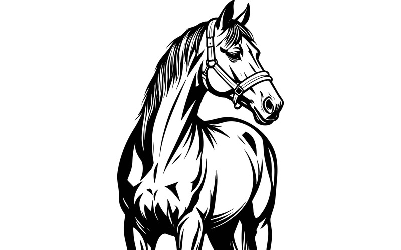 Cavallo nero in piedi contro il cielo 1 illustrazione - Caratteristiche Immagine 2