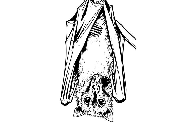 Gros plan d'un animal suspendu à une branche (Illustration IA + Dessin vectoriel) - Caractéristiques de l’image 2