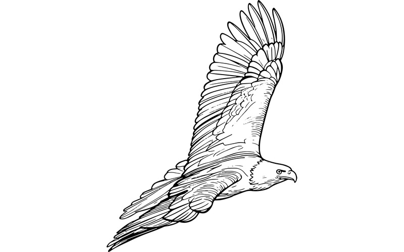 Vithövdad havsörn flyger på stranden mot himlen Marvel (AI-illustrationsbild + vektorgrafik) - Features Image 2