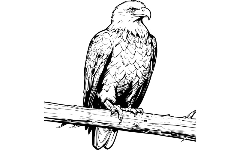 Närbild av örn som sitter i skogen 1 (AI-illustrationsbild + vektorgrafik) - Features Image 2