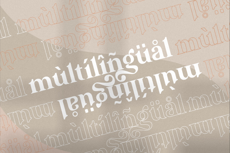 Linstone _ Modern Serif Fonts - Features Image 10