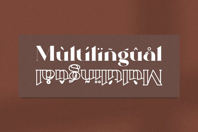 Milans_Typeface Modern Serif - Features Image 8