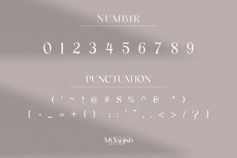 Mylanish _ Unikalny nowoczesny krój pisma - Obraz funkcji 11