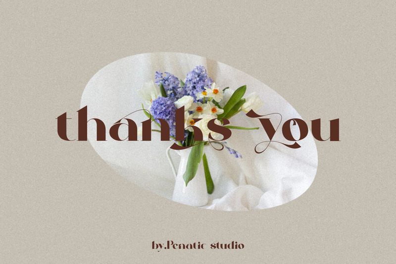 Milans_Typeface Modern Serif - Features Image 11