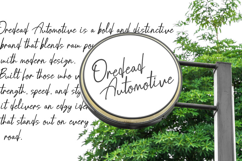 Brondia Derepina a Handwritten Script Premium Font - Features Image 5