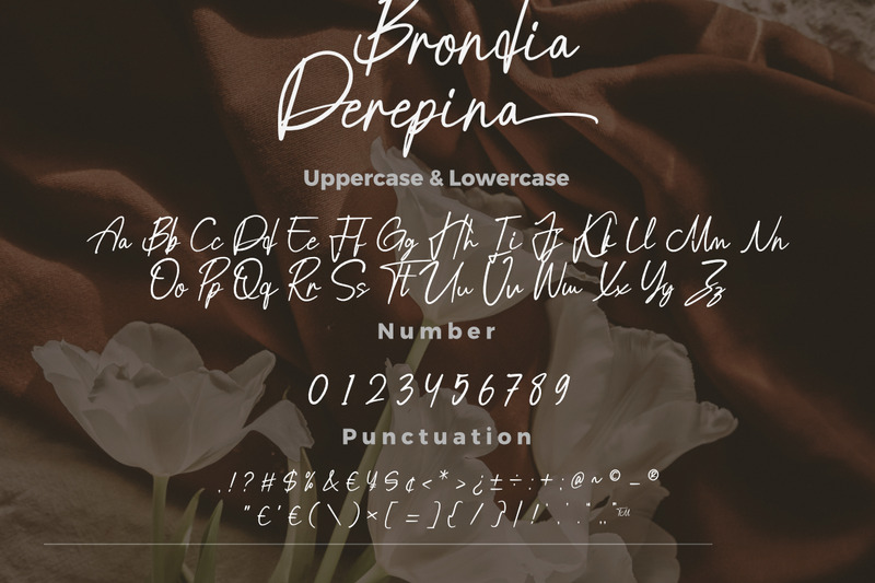 Brondia Derepina a Handwritten Script Premium Font - Features Image 4
