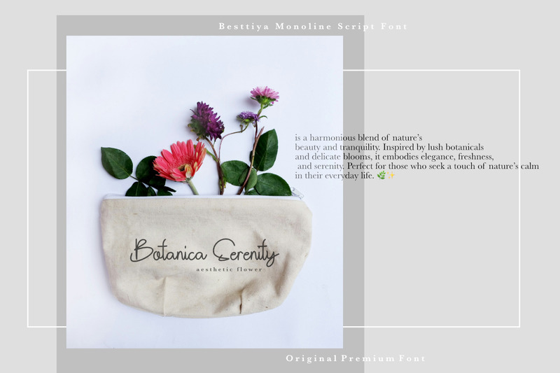 Besttiya Monoline Script Premium Font - Features Image 2