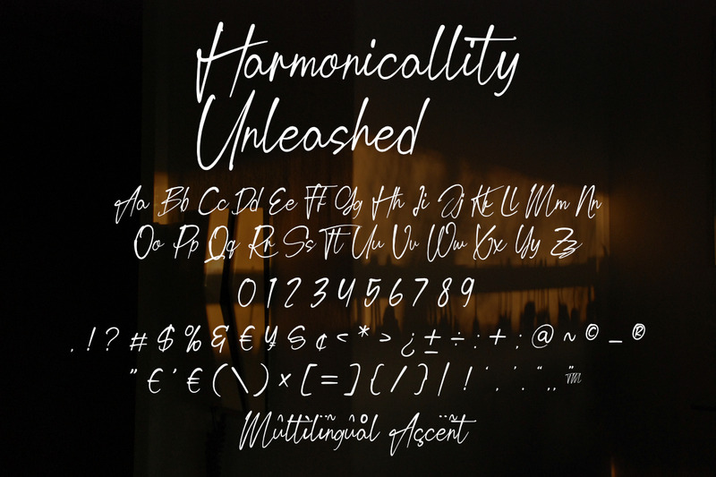Harmonicallity Unleashed Handwriting Script Font - Features Image 8