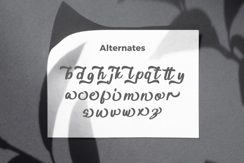 Arsiliya Stylish Script Premium Font - Features Image 2