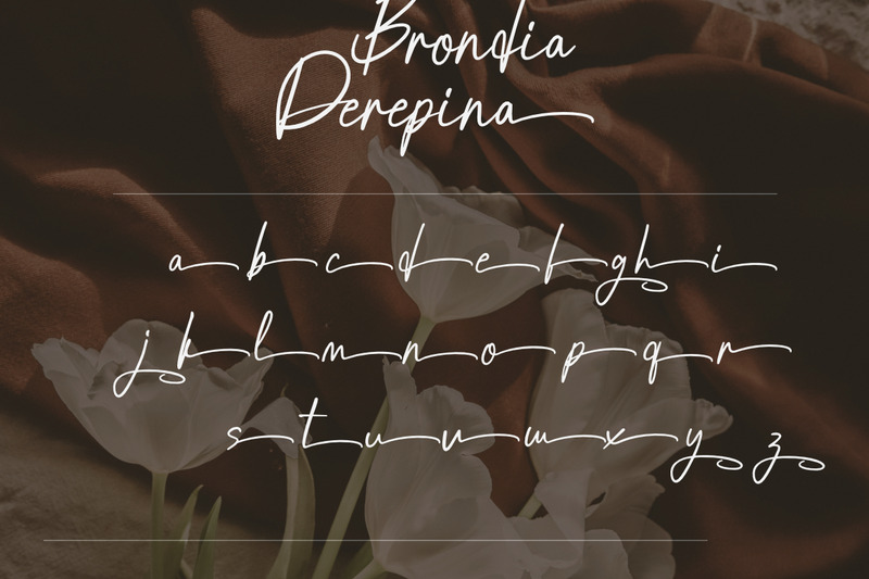 Brondia Derepina a Handwritten Script Premium Font - Features Image 9