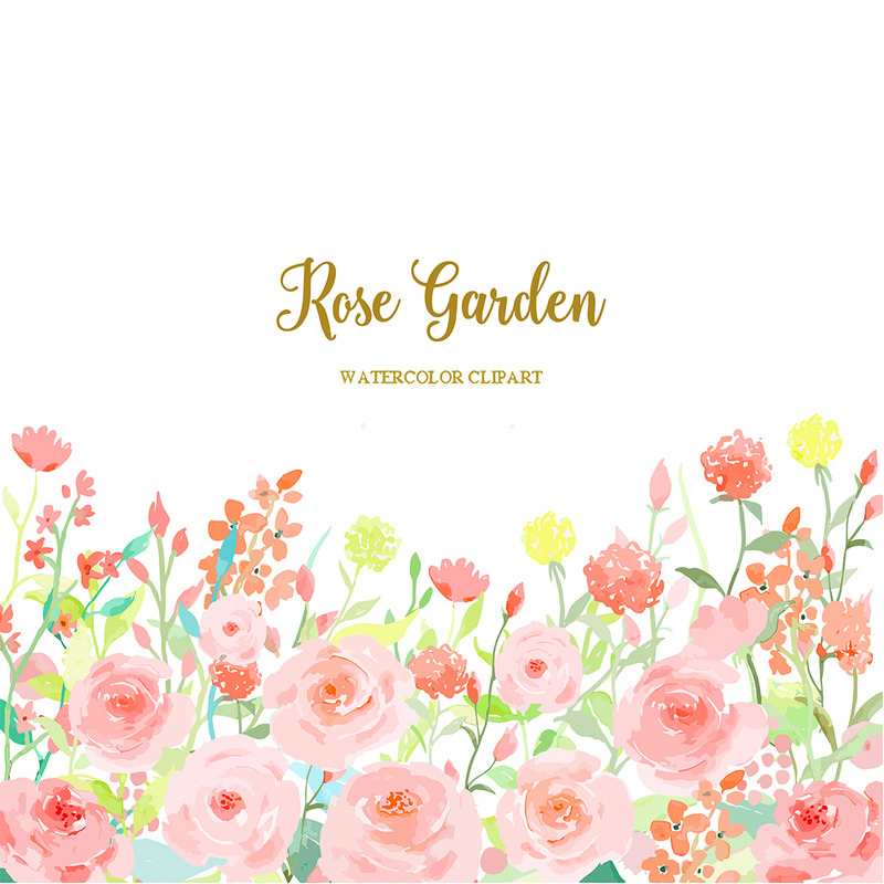 Akvarell blomma samling Rose Garden Illustration - Features Image 1