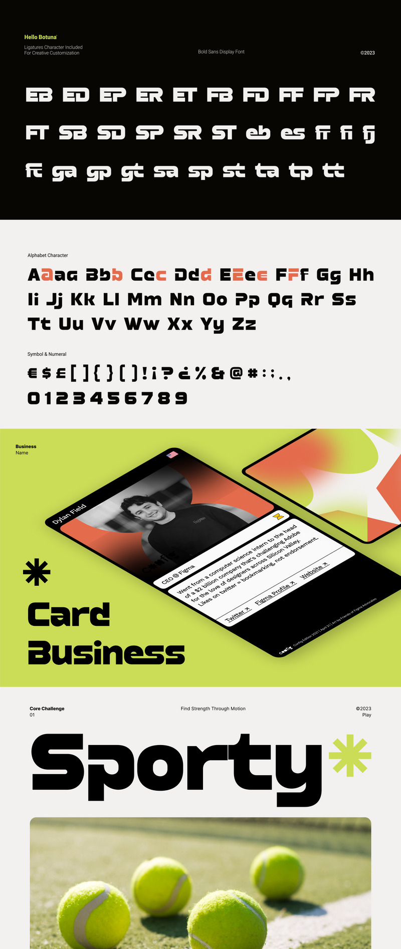 Hello Botuna Bold Sans Display Font - Caratteristiche Immagine 2