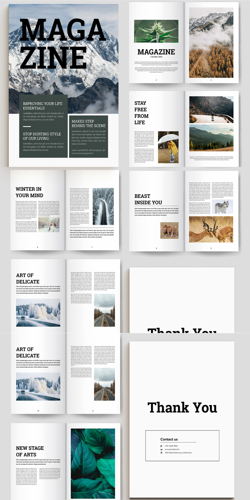 Professional Design Magazine Template - Features Image 1