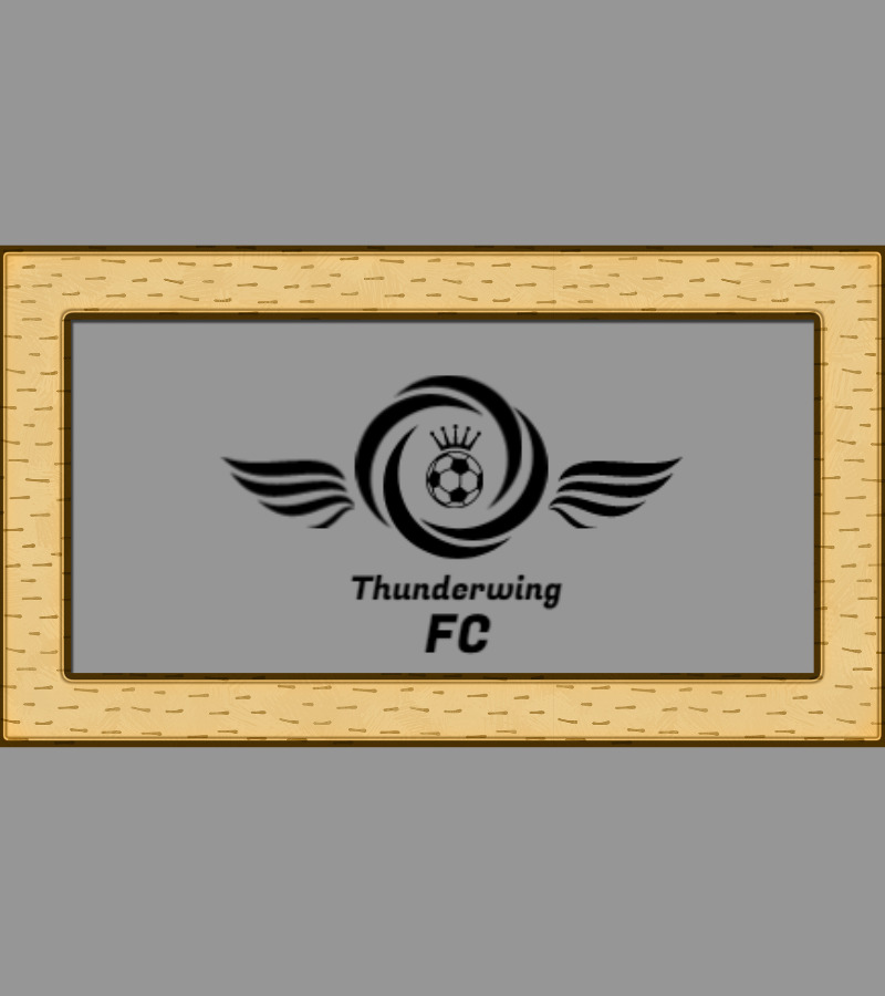 Thunderwing Football Logo - Features Image 1