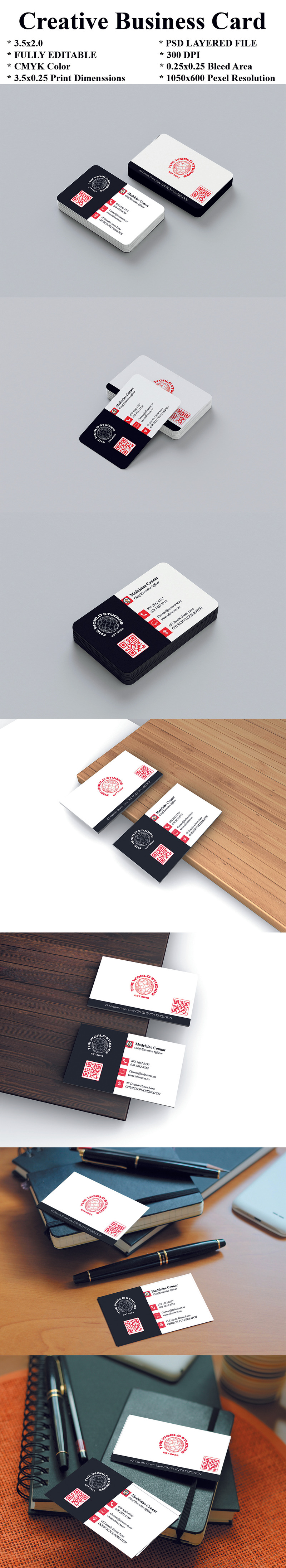 Professional Business Card 2 sided visiting card Red & Black Shades