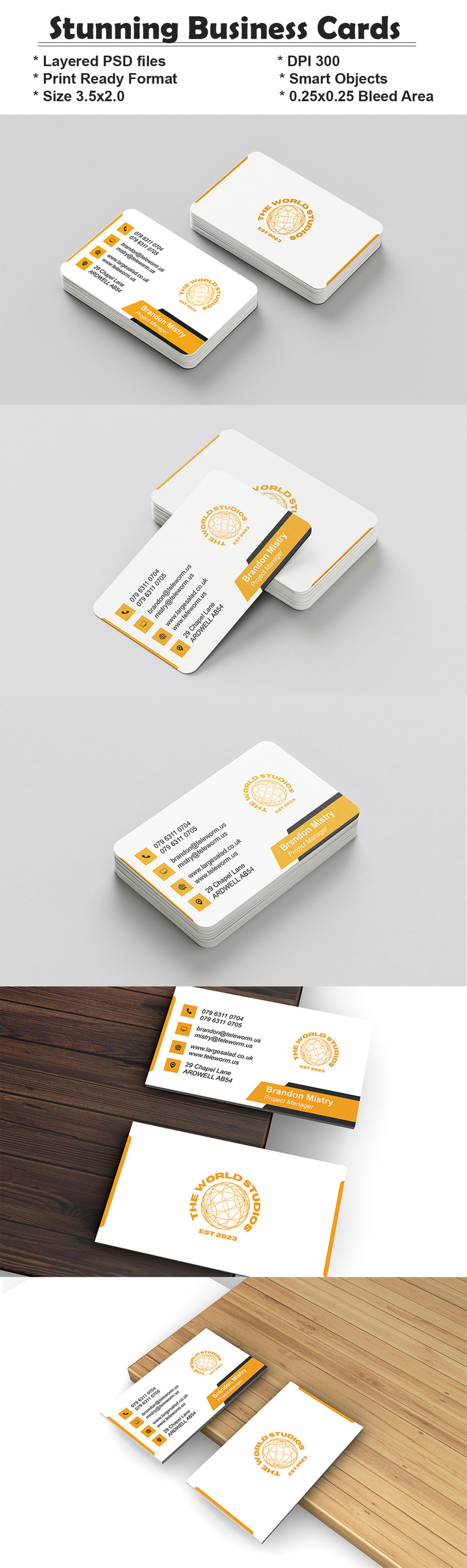 Stunning visiting Card - fully editable - Ready to Use - printable format - Features Image 1