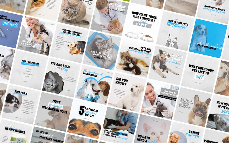 55 Veterinär-Canva-Vorlagen für soziale Medien - Eigenschaften Bild 1