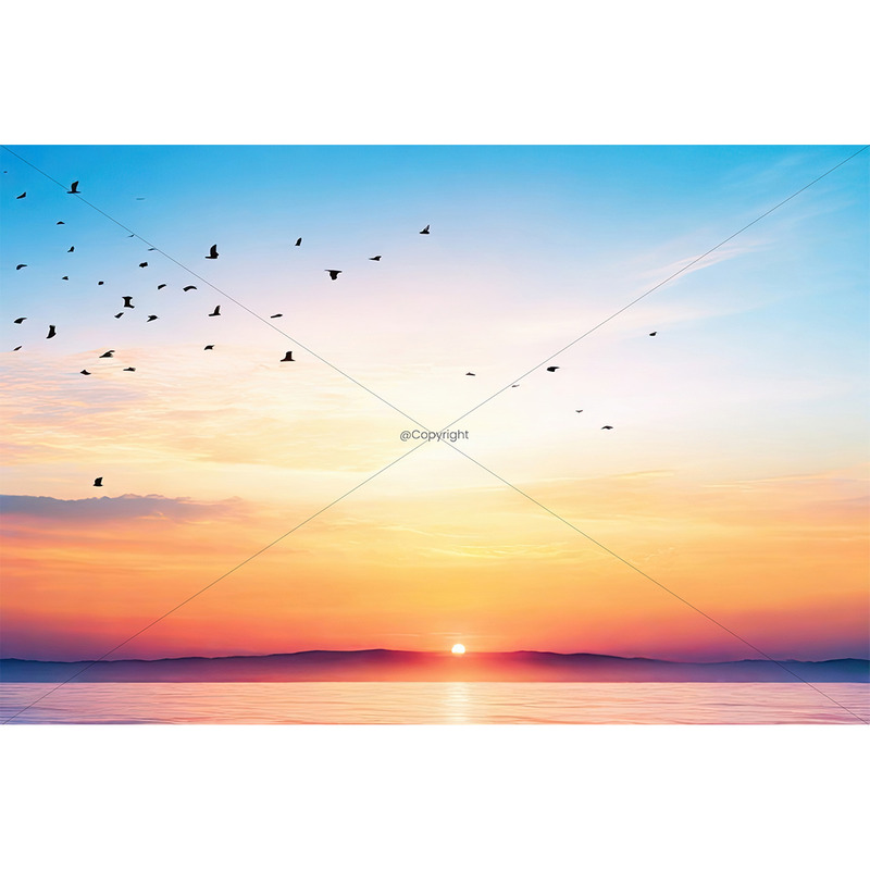 Abstrakter, schöner, friedlicher Sommerhimmel, Hintergrund, Sonnenaufgang, neuer Tag und fliegender Vogelschwarm 01 - Eigenschaften Bild 1