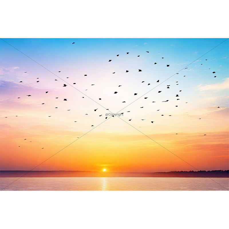 Abstrakter, schöner, friedlicher Sommerhimmel, Hintergrund, Sonnenaufgang, neuer Tag und fliegender Vogelschwarm 02 - Eigenschaften Bild 1