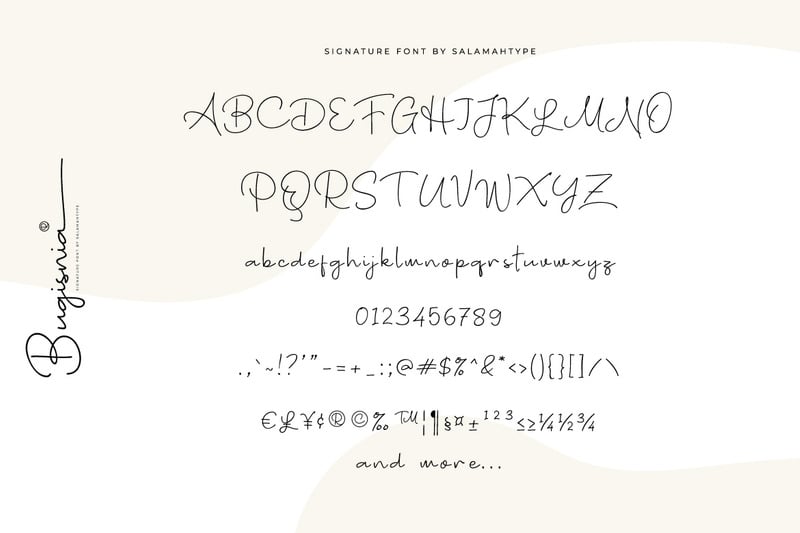 Bugisnia - Schoon handtekeninglettertype - Features Image 5