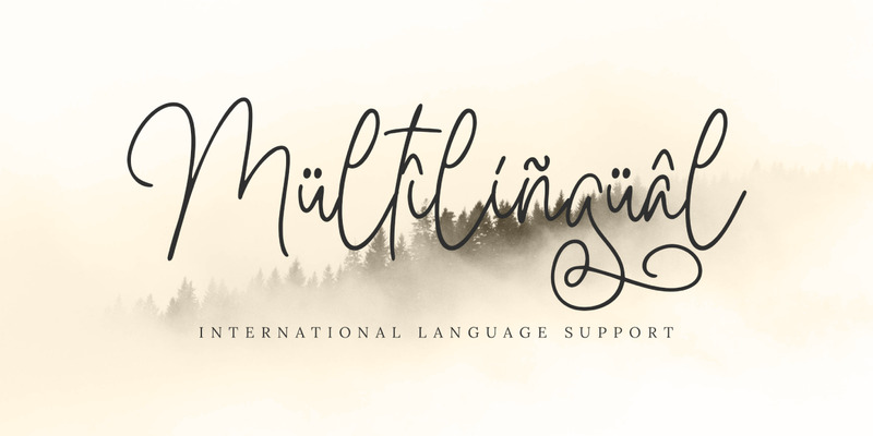 Bella Signature – Kalligraphie-Schriftart - Eigenschaften Bild 6