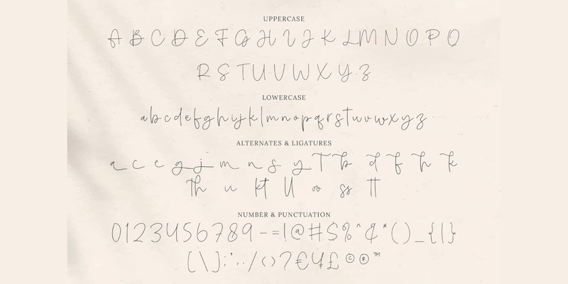 Amichan - bela fonte de script - Features Image 9