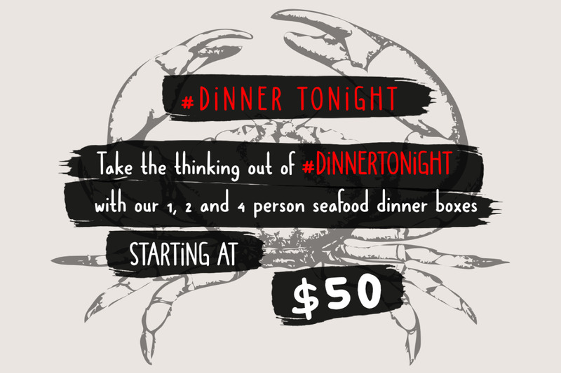 Dolphins - Рукописный шрифт - Features Image 3