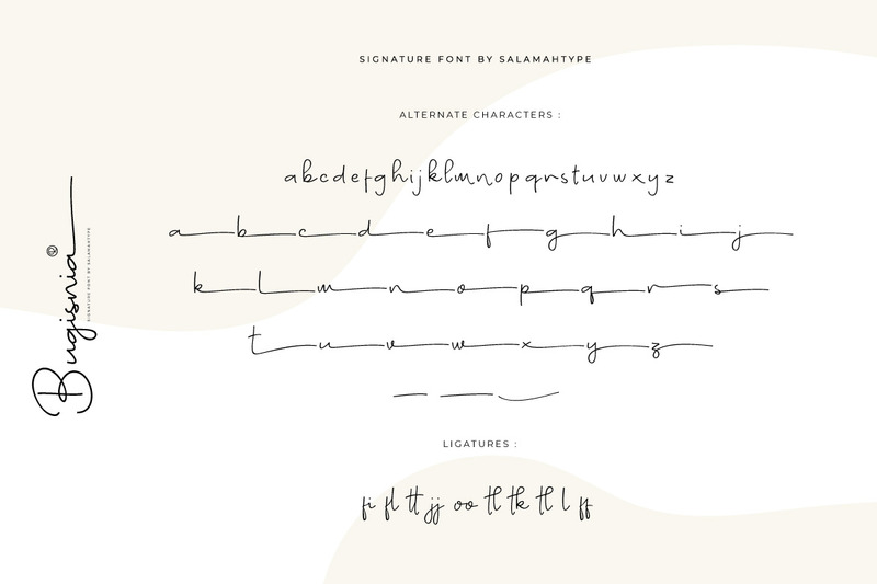 Bugisnia - Schoon handtekeninglettertype - Features Image 6