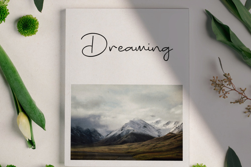 Bugisnia - Schoon handtekeninglettertype - Features Image 1