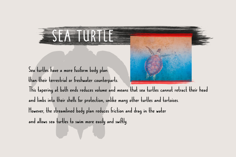 Dolphins - Рукописный шрифт - Features Image 1