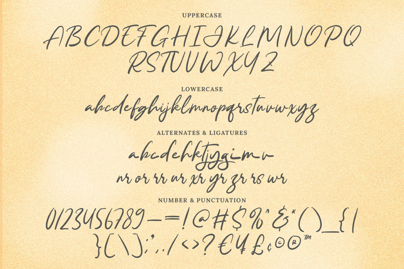 Ranchel - Script kalligráfia betűtípus - Features Image 6
