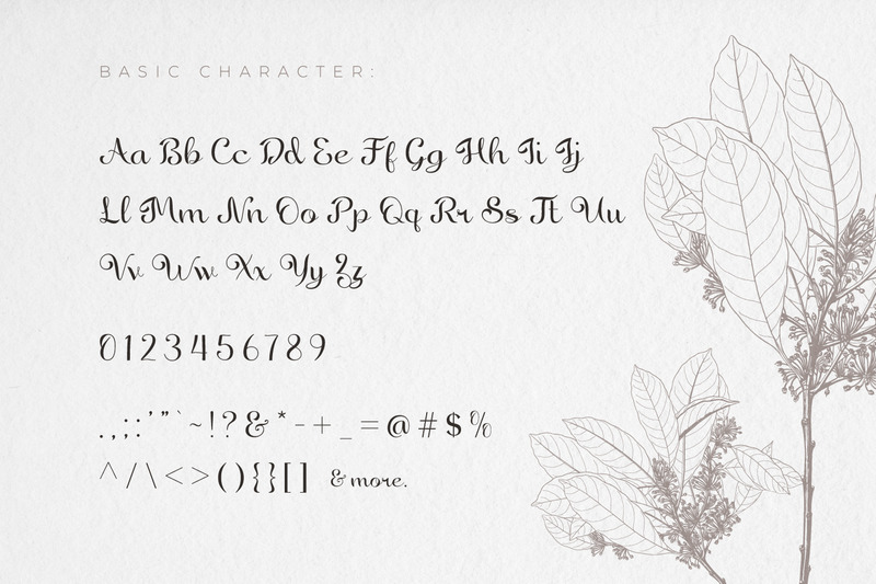 Rachel Karlie - Carattere script decorativo - Caratteristiche Immagine 5