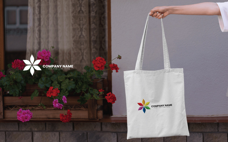 Stella della diaspora a sei punte nei colori dell'arcobaleno Design Brand Identity - Caratteristiche Immagine 6