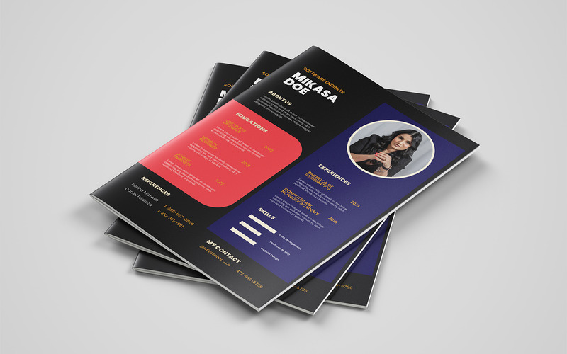 Curriculum speciale Mikasa | Modello CV in stile USA - Caratteristiche Immagine 2