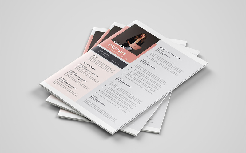 Swan United King Resume Template - Features Image 1